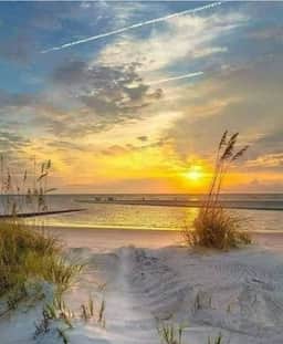 SunChase 109