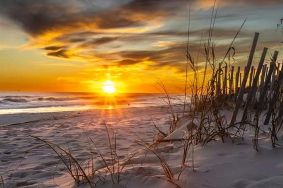 Sunchase 208