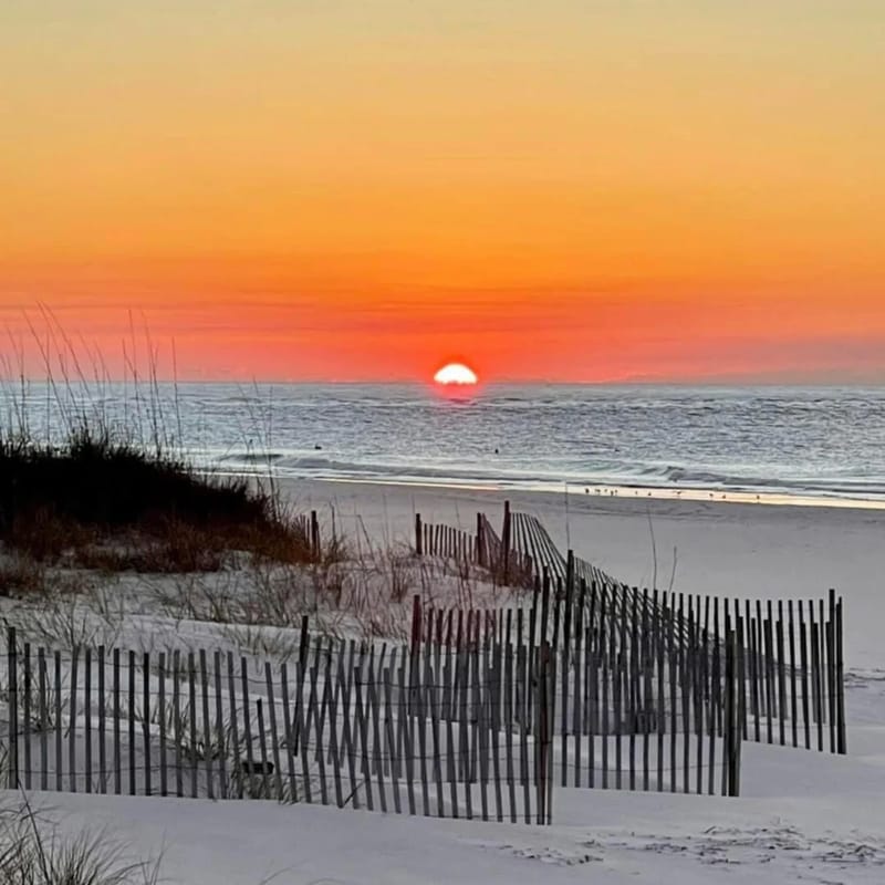 SunChase 307